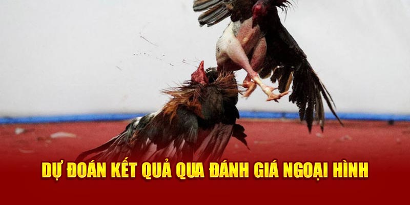 Dự đoán kết quả qua đánh giá ngoại hình