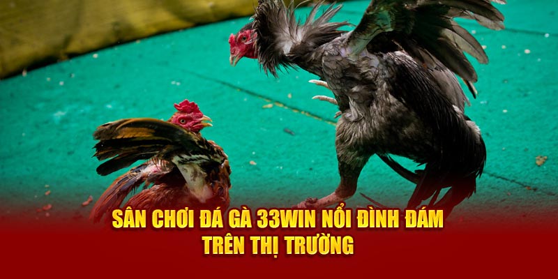 Sân chơi đá gà 33Win nổi đình đám trên thị trường