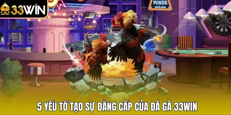 5 yếu tố tạo sự đẳng cấp của đá gà 33WIN