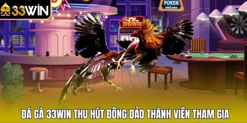 Đá gà 33WIN thu hút đông đảo thành viên tham gia