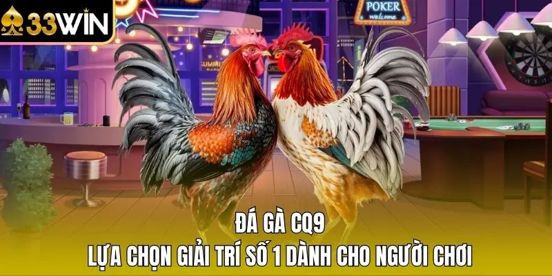 Đá Gà CQ9 - Lựa Chọn Giải Trí Số 1 Dành Cho Người Chơi