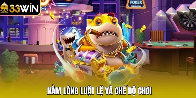 Nằm lòng luật lệ và chế độ chơi