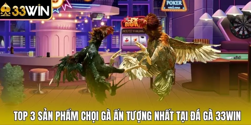 Top 3 sản phẩm chọi gà ấn tượng nhất tại đá gà 33WIN